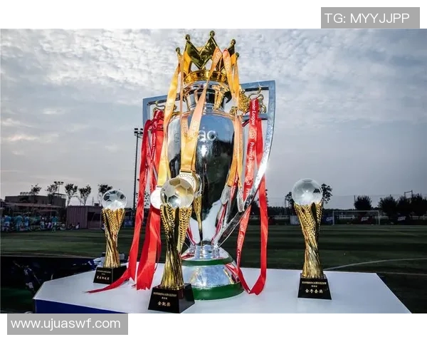 武汉足球队崛起之路总决赛特别报道见证荣耀与拼搏的传奇历程