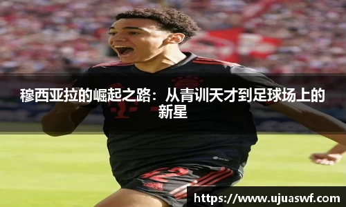 谈球吧