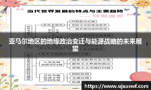 亚马尔地区的地缘政治变迁与能源战略的未来展望
